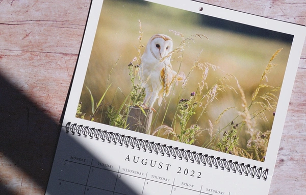  How - To - Create - A - Calendar - Thatll - Get - Noticed - And - Generate - Revenue