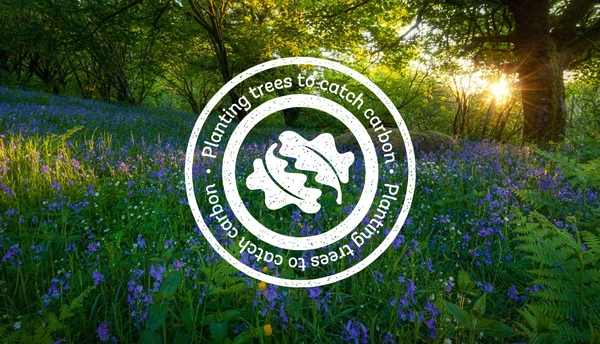  Cerberus Woodland Trust Carbon Capture