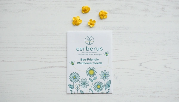  Seed Packets